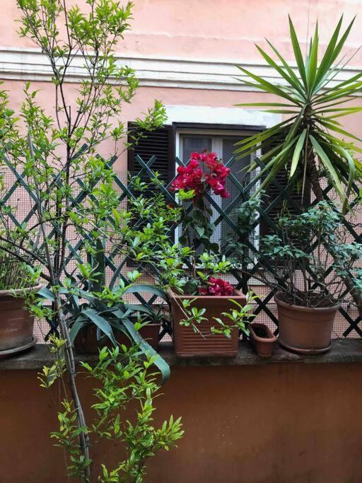 Centro Storico Appartamento Con Terrazza Rome Extérieur photo